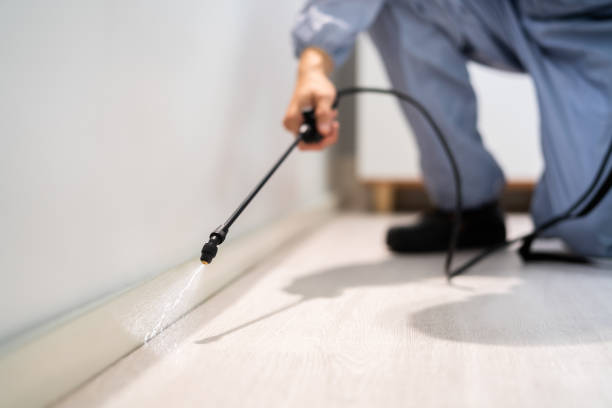 Licensed Ant Control service in Concord, NC - Show Me Pest Control