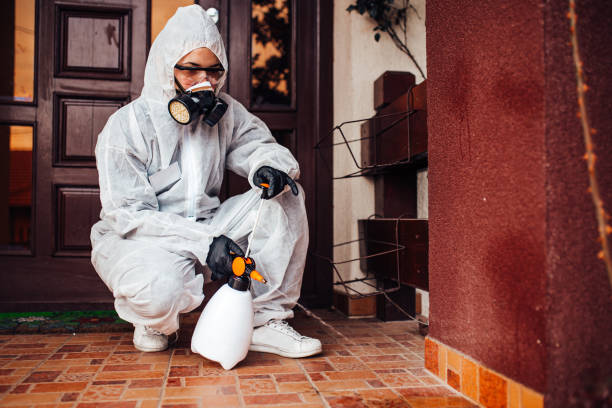Reliable Ant Control contractor in Concord, NC by Show Me Pest Control